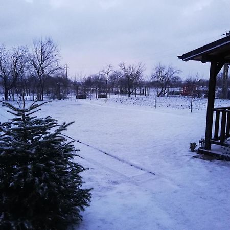 Casa De Vacanta Ayan Szászhermány Szoba fotó