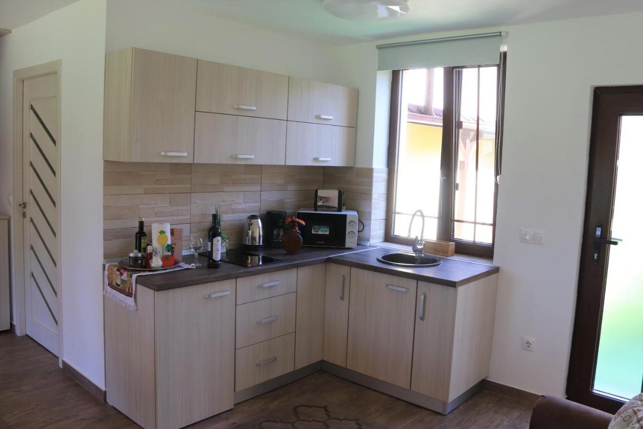 Casa De Vacanta Ayan Szászhermány Kültér fotó