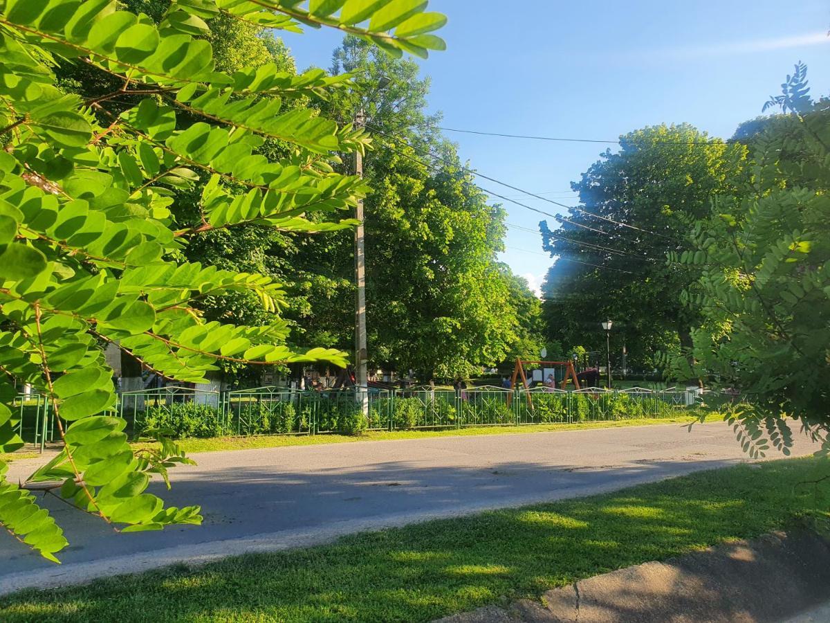 Casa De Vacanta Ayan Szászhermány Kültér fotó