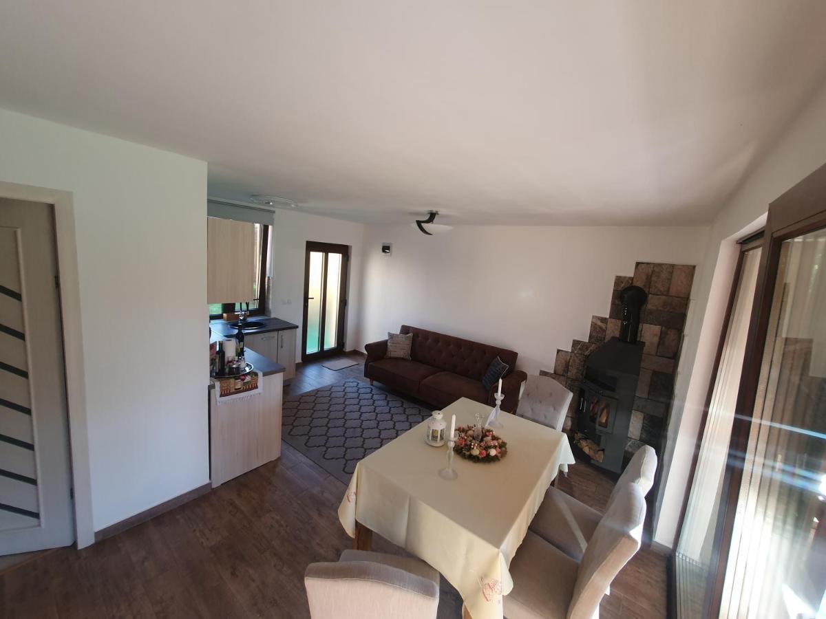 Casa De Vacanta Ayan Szászhermány Kültér fotó