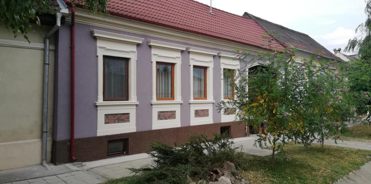 Casa De Vacanta Ayan Szászhermány Kültér fotó