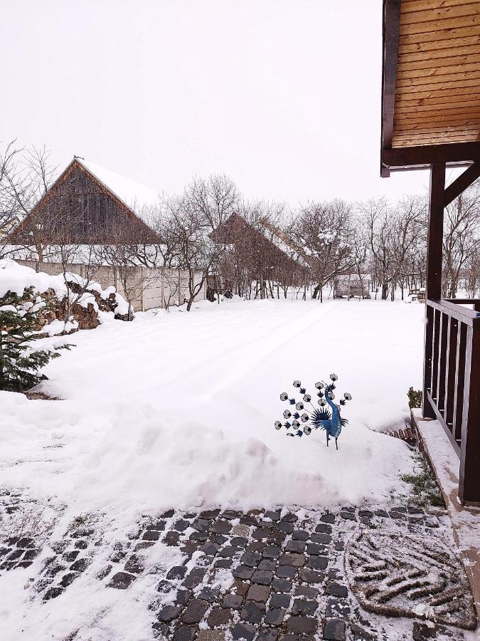 Casa De Vacanta Ayan Szászhermány Kültér fotó
